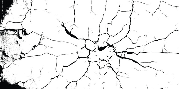 White cracked texture background, featuring a white background with a dry, cracked pattern. The white background adds a rustic feel.