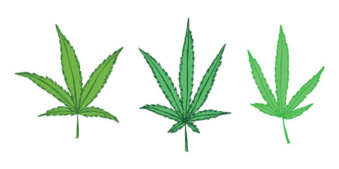 Set of hand drawn cannabis leaf Medicine marijuana Hemp leaves clipart in doodle style Single element for print, web, design, decor