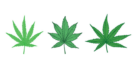 Set of hand drawn cannabis leaf Medicine marijuana Hemp leaves clipart in doodle style Single element for print, web, design, decor