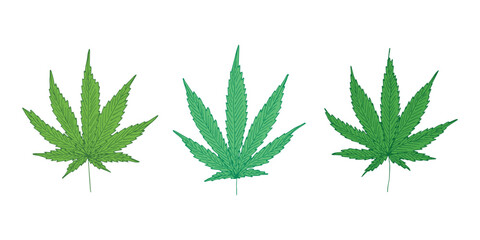 Set of hand drawn cannabis leaf Medicine marijuana Hemp leaves clipart in doodle style Single element for print, web, design, decor