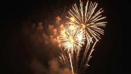 Celebrate with vibrant fireworks illuminating the night sky, perfect for festive events and holiday celebrations adding a dynamic touch of excitement