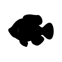 Fototapeta premium Silhouette of a Tropical Fish, Black and White High Contrast Illustration