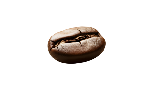 Close-up macro shot of roasted coffee bean isolated on transparent background