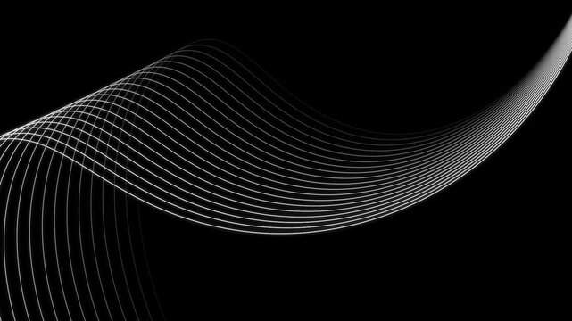 black and neon purple abstract gradient background with flowing lines animation video.Abstract geometric liens background. Abstract swirl lines background .