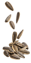 sunflower seeds isolated on white background