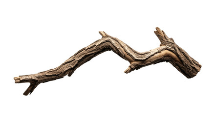 Dry Weathered Tree Branch Isolated on White Background 2.