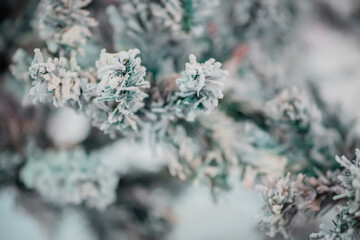 Christmas tree decorated with twinkling lights and snowflakes. Holiday concept.
