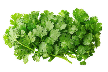 Ground coriander scattered loosely showcasing fine texture and earthy color with a transparent background.