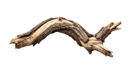 Natural Wooden Branch with Twisted Shape for Decoration.