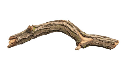 Natural Wooden Branch with Unique Shape for Decoration.