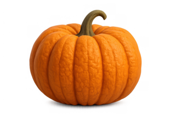 Pumpkin ready for autumn and halloween celebration, indicating harvest season and traditional holiday decoration