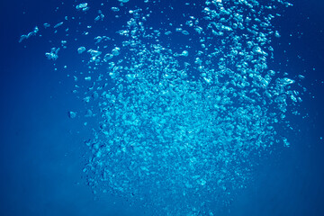 ダイバーの泡　小笠原