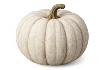 White pumpkin isolated on transparent background illustrating autumn harvest, thanksgiving, and halloween decor concepts