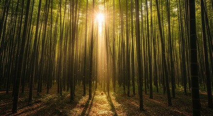 Obraz premium Modern Abstract Background Design with Vibrant Gradient Colors, Luxury Light Effects, Fluid Shapes, Clean Minimal Composition, Digital Art Concept for Creative Projects and Premium Visual Branding