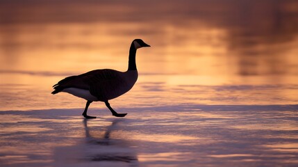Goose Crossing a Frozen Lake at Winter Dusk