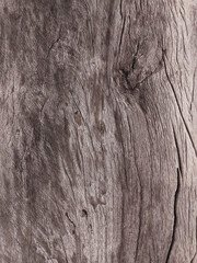Old wooden floor with a beautiful texture.