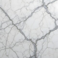 Elegant white marble texture with intricate grey veining, a luxurious and sophisticated natural surface.