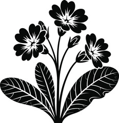 Black Silhouette of Primrose Flowers and Leaves on White Background floral botanical