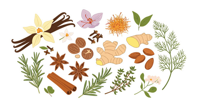 A diverse collection of fresh and dried culinary spices, aromatic herbs, nuts, and flavorful ingredients used for cooking and baking.