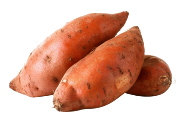 Three orange sweet potatoes with brown speckles on a black background image, Png On White Background, Isolated on Transparent Background, Cut Out