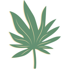 Stylized Green Leaf With Shadow Effect And Simple Stem On Transparent Background Simple Vector Illustration Of Botanical Element