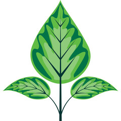 Stylized Green Leafy Plant With Three Leaves and Transparent Background