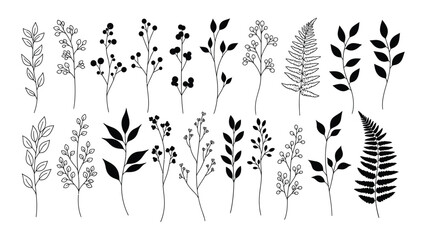 Assorted botanical silhouettes and outlines isolated on white background, Vector © Rian