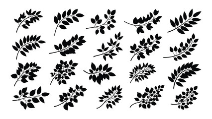 Assorted leaf branch silhouettes vector set isolated on white background, Vector © Rian