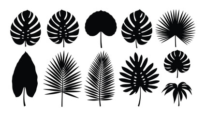 Set of tropical leaf silhouettes isolated on white background, Vector