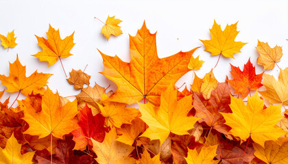 Fototapeta premium Autumn Leaves Background