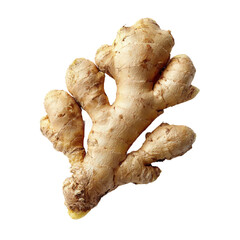 ginger root created with ginger isolated on with white background(2)