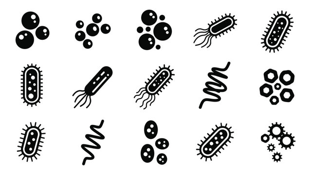 Bacteria and microorganism silhouette icons set isolated on white background, Vector