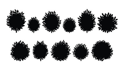 Set of tree and bush silhouettes isolated on white background, Vector © Rian