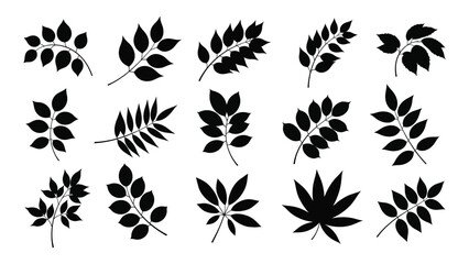Diverse black leaf silhouettes collection isolated on white background, Vector