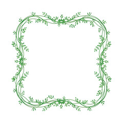 Green vine frame illustration with delicate leaves forming a natural, organic border on a white background, perfect for rustic designs, nature themes, or spring decor.