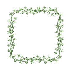 Organic green vine and leaf border frame, a natural and elegant botanical decoration for design projects, invitations, and rustic-themed graphic elements on a clean white background. © rsvect02