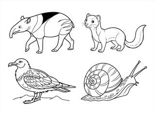 coloring page line art the bird and animal black vector bundle