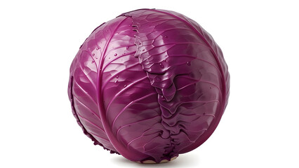 Fototapeta premium Fresh red cabbage perfect for healthy recipes