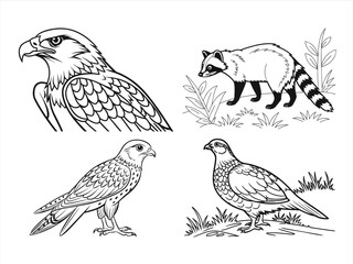 coloring page line art the bird and animal black vector bundle