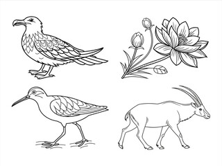 coloring page line art the bird and animal black vector bundle