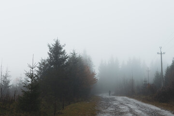 Foggy mountain forest with a winding gravel road, utility poles fading into mist, and a lone hiker ahead, creating a moody at dawn cinematic scene of solitude, adventure, and quiet autumn travel.