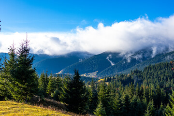 Sunny mountain panorama with deep blue sky, rolling conifer ridges and scattered clouds. Vibrant evergreen forest fills a wide valley, golden foliage adds contrast and inviting exploration at dawn