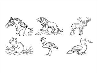 coloring page line art the bird and animal black vector bundle