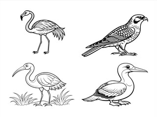coloring page line art the bird and animal black vector bundle