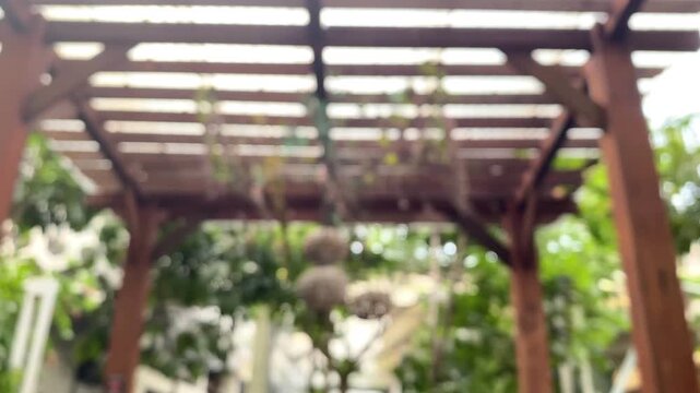 Defocused wooden pergola covered with vines and bamboo lanterns swaying in the breeze.