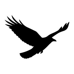 Silhouette of a Flying Bird Symbol of Freedom, Soaring Above in Black and White