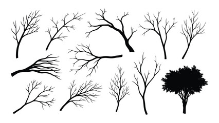 Collection of tree and branch silhouettes isolated on white background, Vector