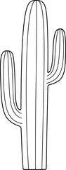 Cactus Line Art Illustration – Isolated on Transparent Background – Black and White Desert Plant Outline Drawing