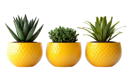 Three yellow flower pots arranged together with bright smooth surfaces showcasing simple decorative plant containers isolated on white background