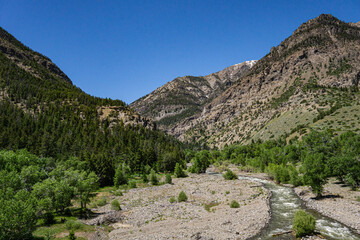 Flood Plain for Mountain Stream in Wyoming